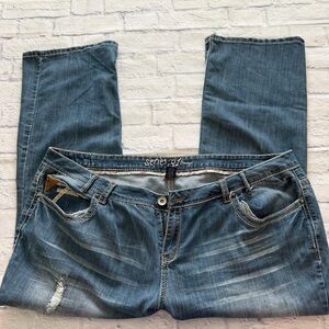 Series 31 Amethyst Jeans 24 | Distressed Western Flare Embroidered Denim